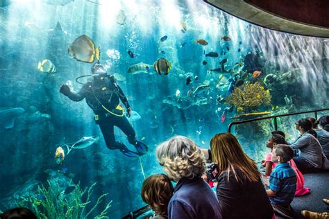 Aquarium of the Pacific.